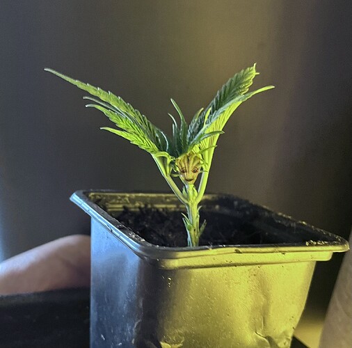 Growreport Bild 18