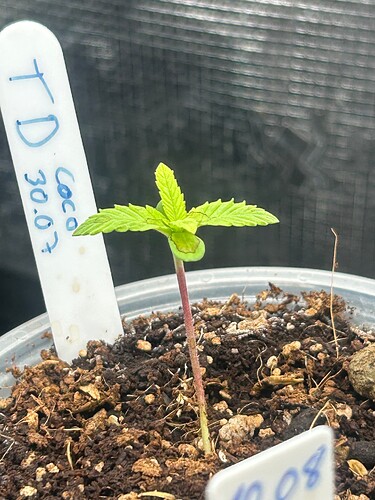Growreport Bild 6