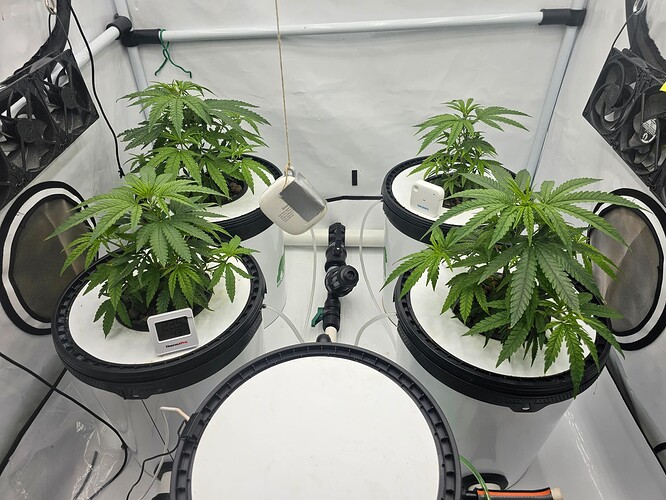Growreport Bild 21