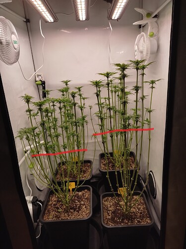 Growreport Bild 42