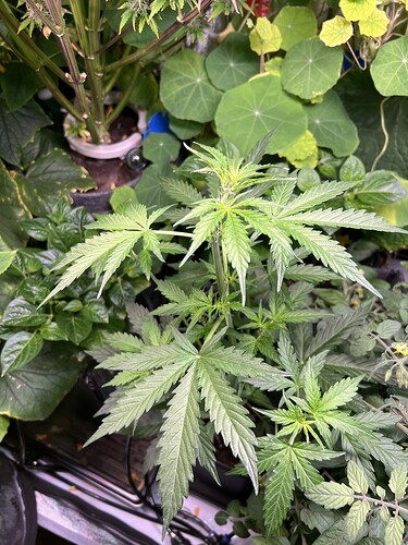 Growreport Bild 4