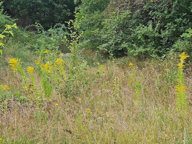 Growreport Bild 10