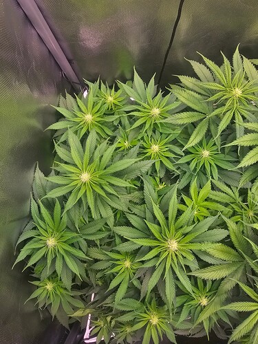 Growreport Bild 14