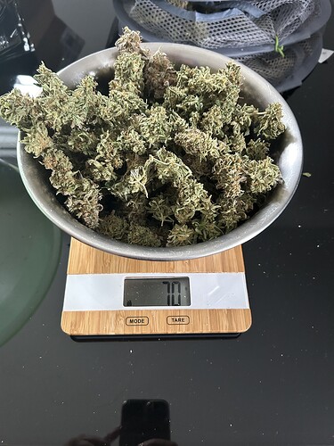 Growreport Bild 14