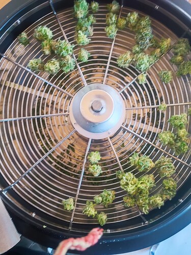Growreport Bild 18