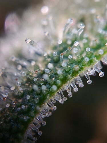 MVIMG_20251116_204000