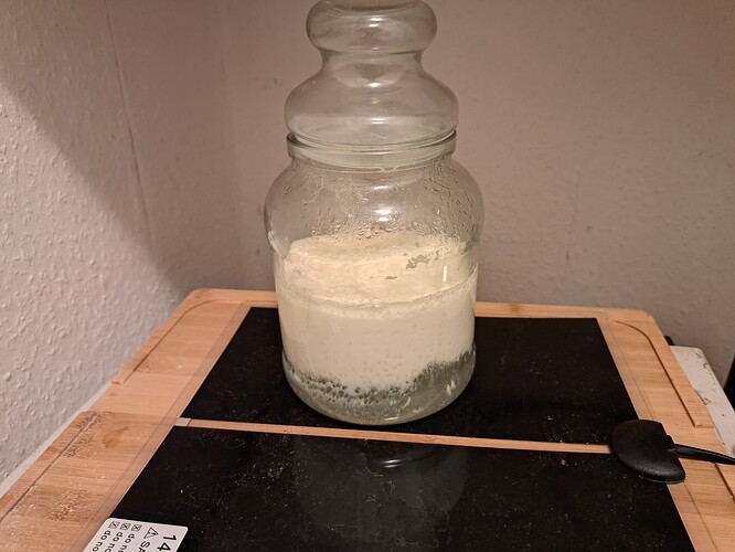 Growreport Bild 7