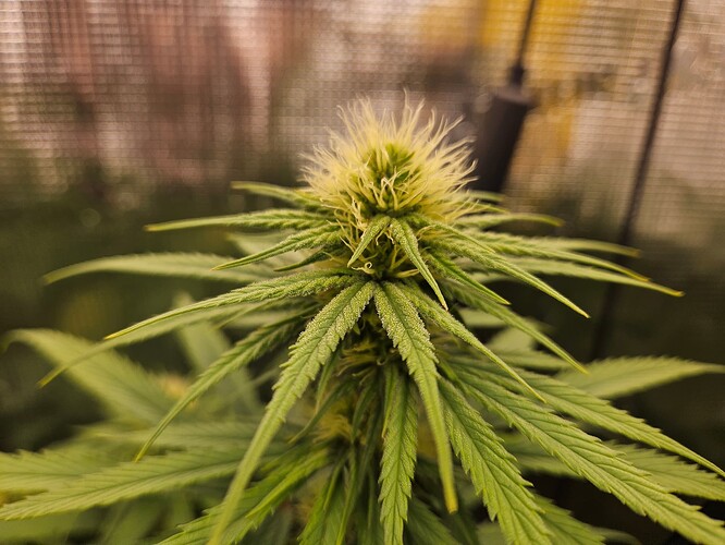 Growreport Bild 11
