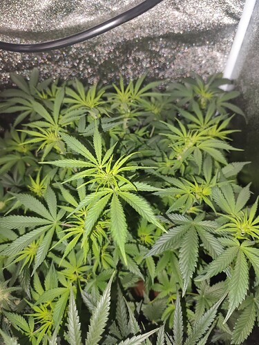 Growreport Bild 14