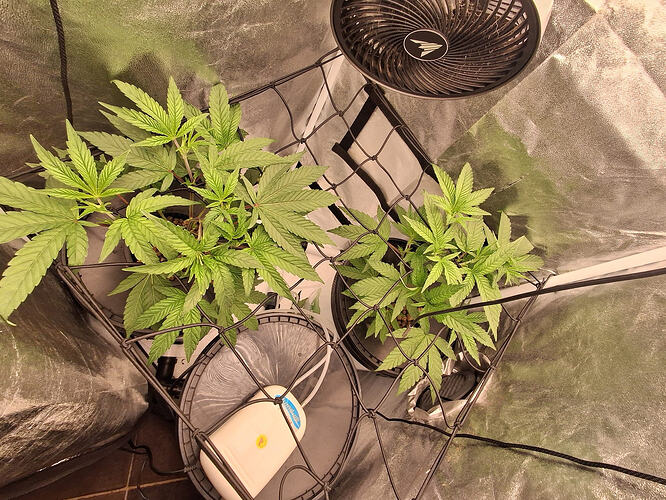 WhatsApp Image 2026-02-02 at 10.58.49