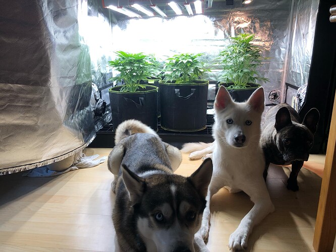 Growreport Bild 8