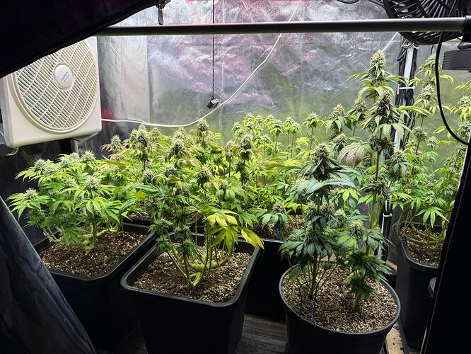 Growreport Bild 1