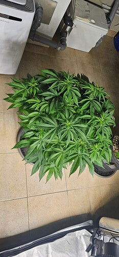 Growreport Bild 2