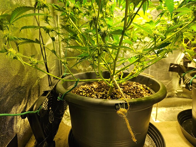 Growreport Bild 11