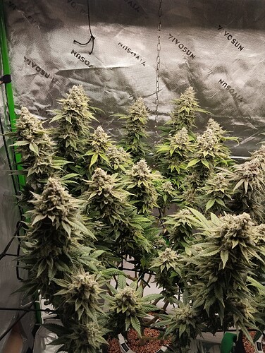 Growreport Bild 21