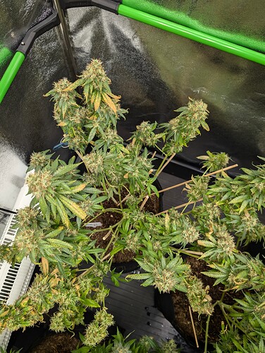Growreport Bild 22