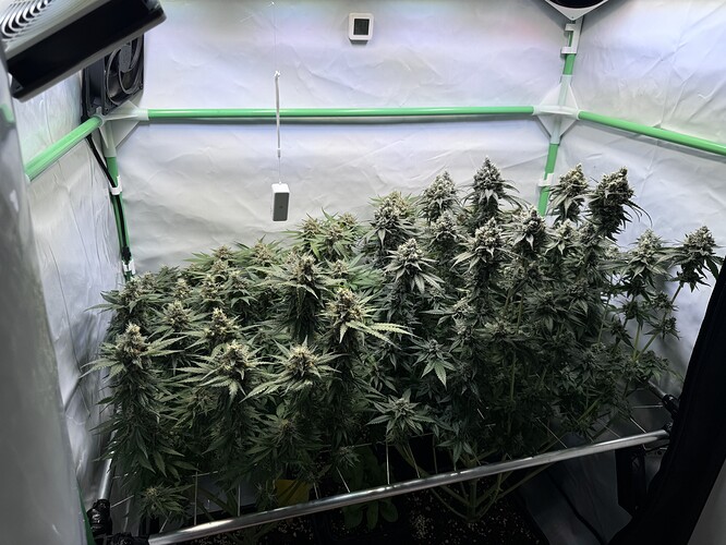 Growreport Bild 7