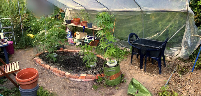 Grow26_0711_13