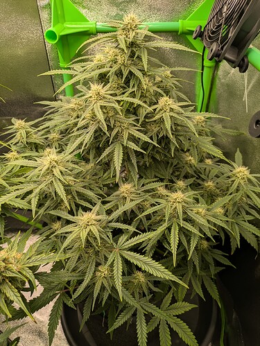Growreport Bild 10