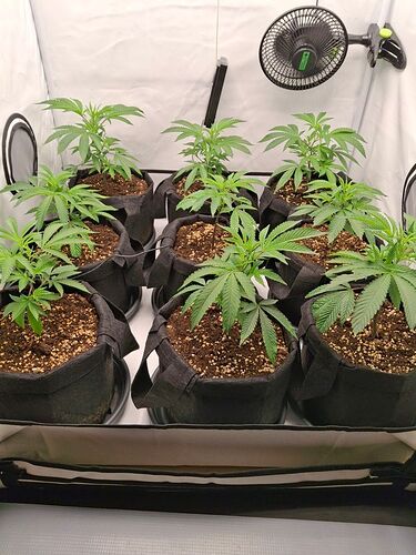Growreport Bild 12