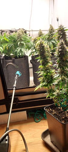 Growreport Bild 4