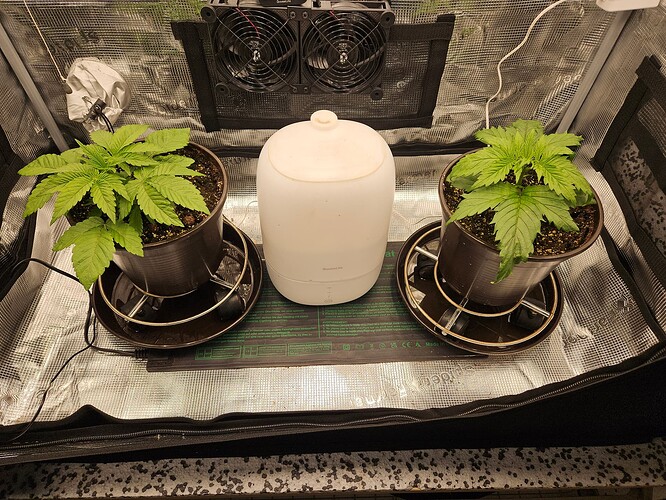 Growreport Bild 17