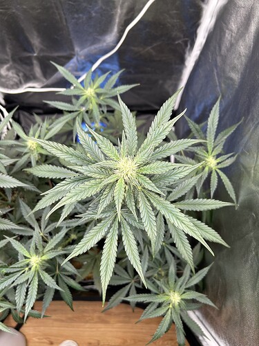 Growreport Bild 5