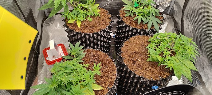 IMG_20251002_090502250_HDR