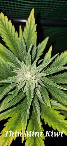 Growreport Bild 10