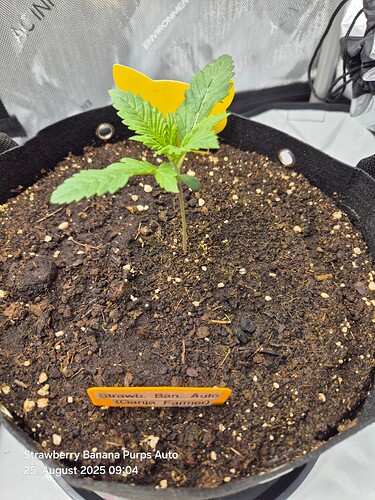 Growreport Bild 14