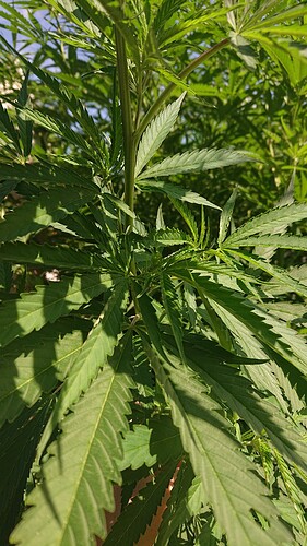 Growreport Bild 22