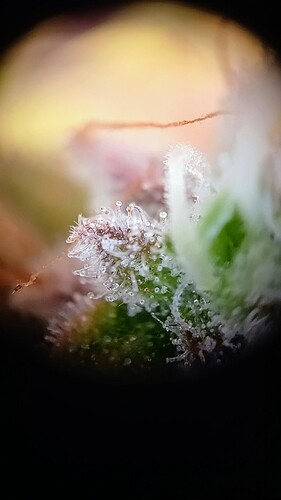 20250126_115829_exported_2766~3