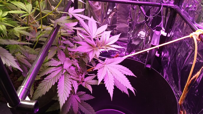 Growreport Bild 2