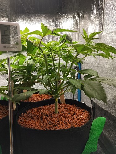 Growreport Bild 14