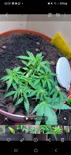 Screenshot_20240604_225115_Gallery