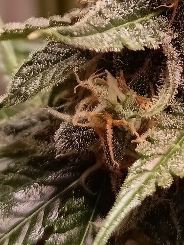 Growreport Bild 11