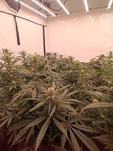Growreport Bild 24