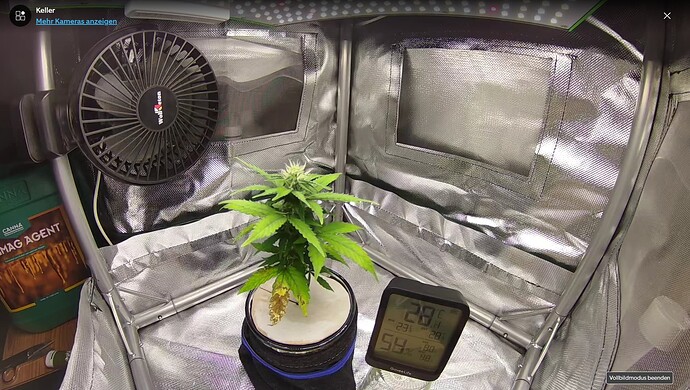 Growreport Bild 5