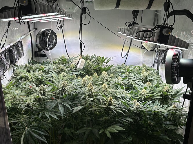 Growreport Bild 21