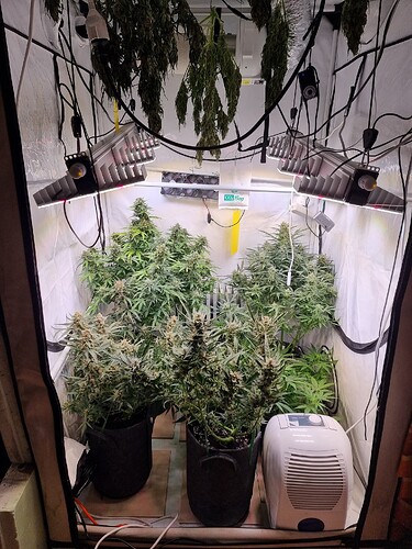 Growreport Bild 6