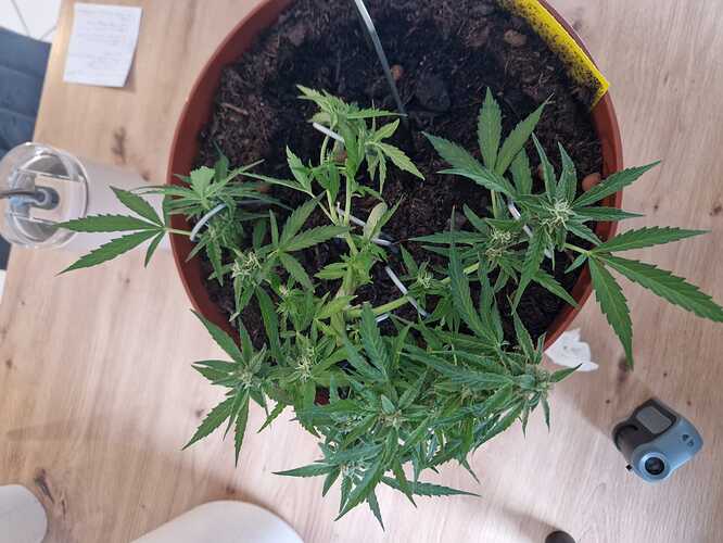 WhatsApp Image 2024-06-27 at 18.04.14 (1)