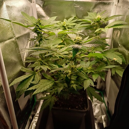Growreport Bild 8
