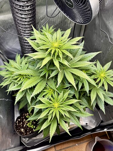 Growreport Bild 2