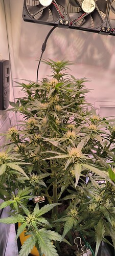 Growreport Bild 8