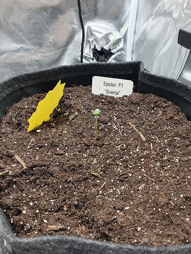 Growreport Bild 6