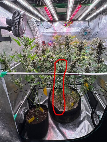 Growreport Bild 23