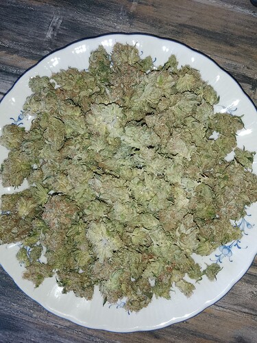 IMG_20240810_194346_665