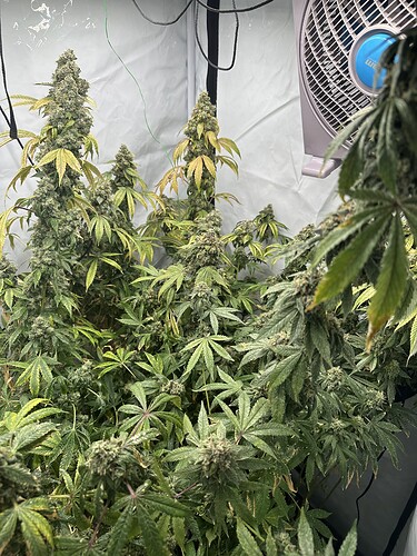Growreport Bild 14