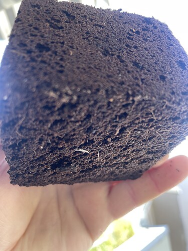 Growreport Bild 13
