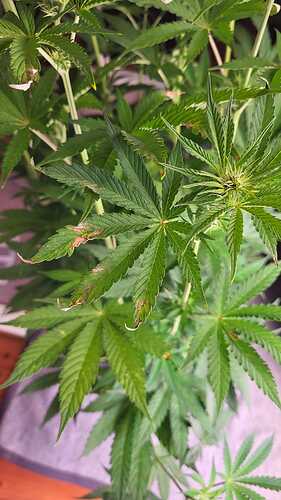 Growreport Bild 11